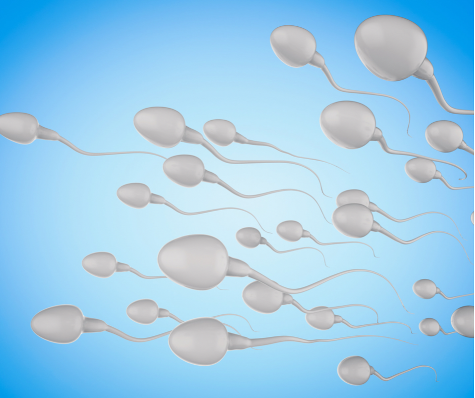 Качеството на геномът - ДНК на сперматозоидите може лесно да се тества