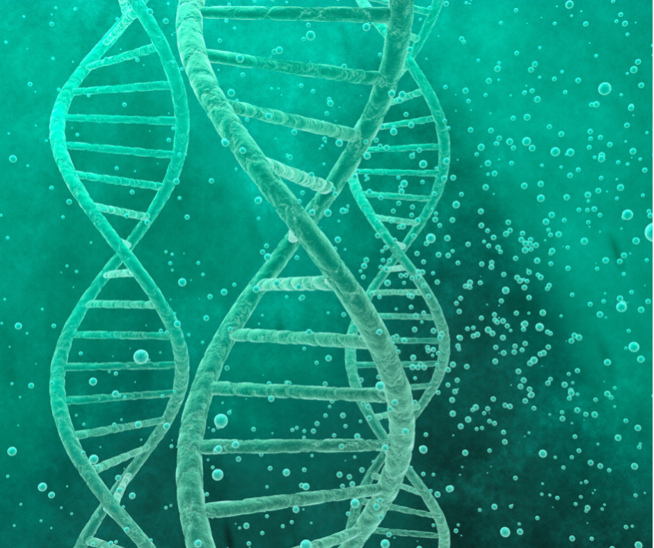 ДНК фрагментацията - основна причина за неуспех на ин витро при мъжки фактор