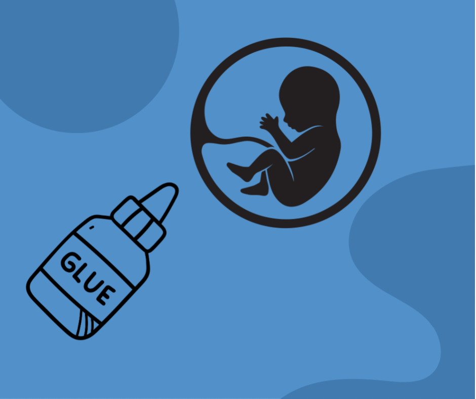 Ембрионалното лепило – състав и индикации за прилагане