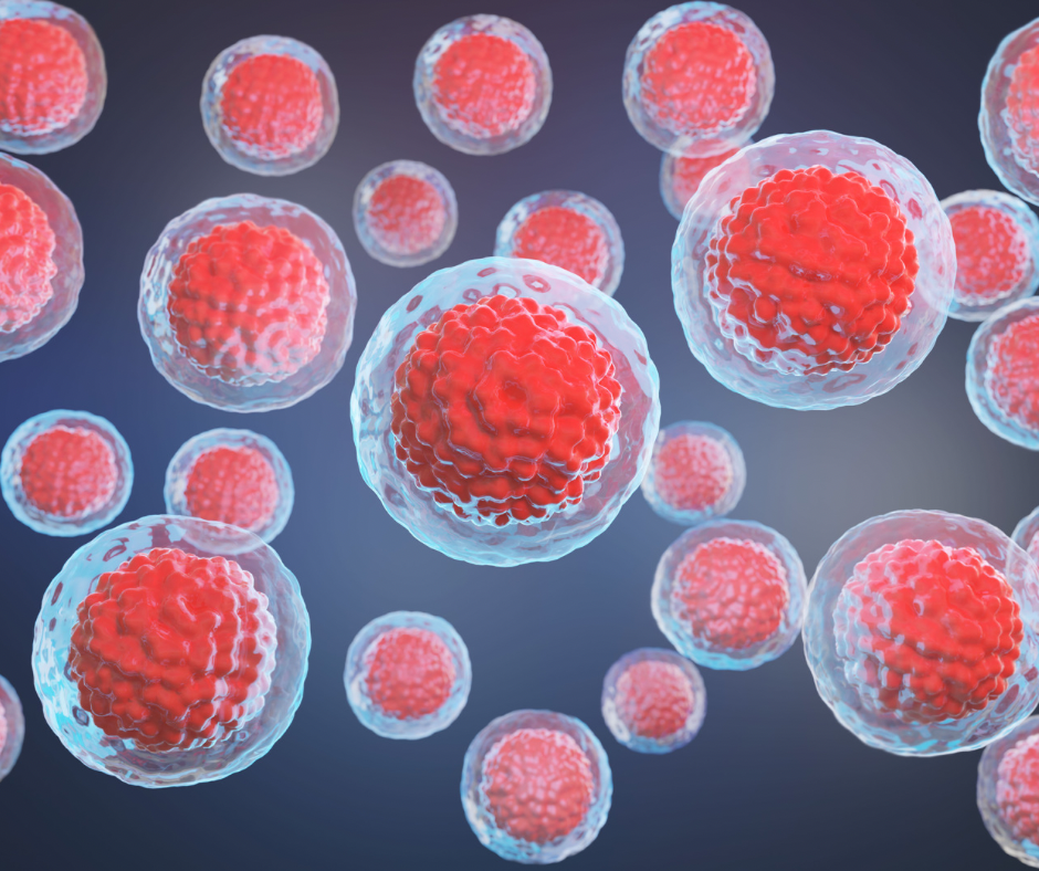 Стволовите клетки като алтернатива на донорските яйцеклетки при жени с изчерпан яйчников резерв